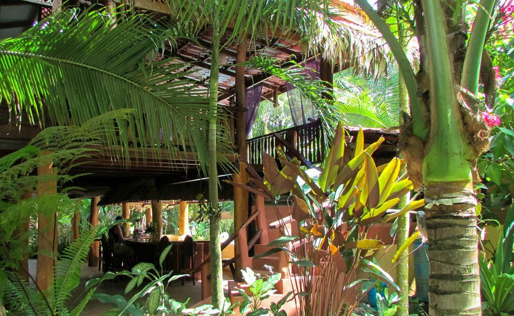 Caribe Town Bungalows Puerto Viejo de Talamanca Esterno foto