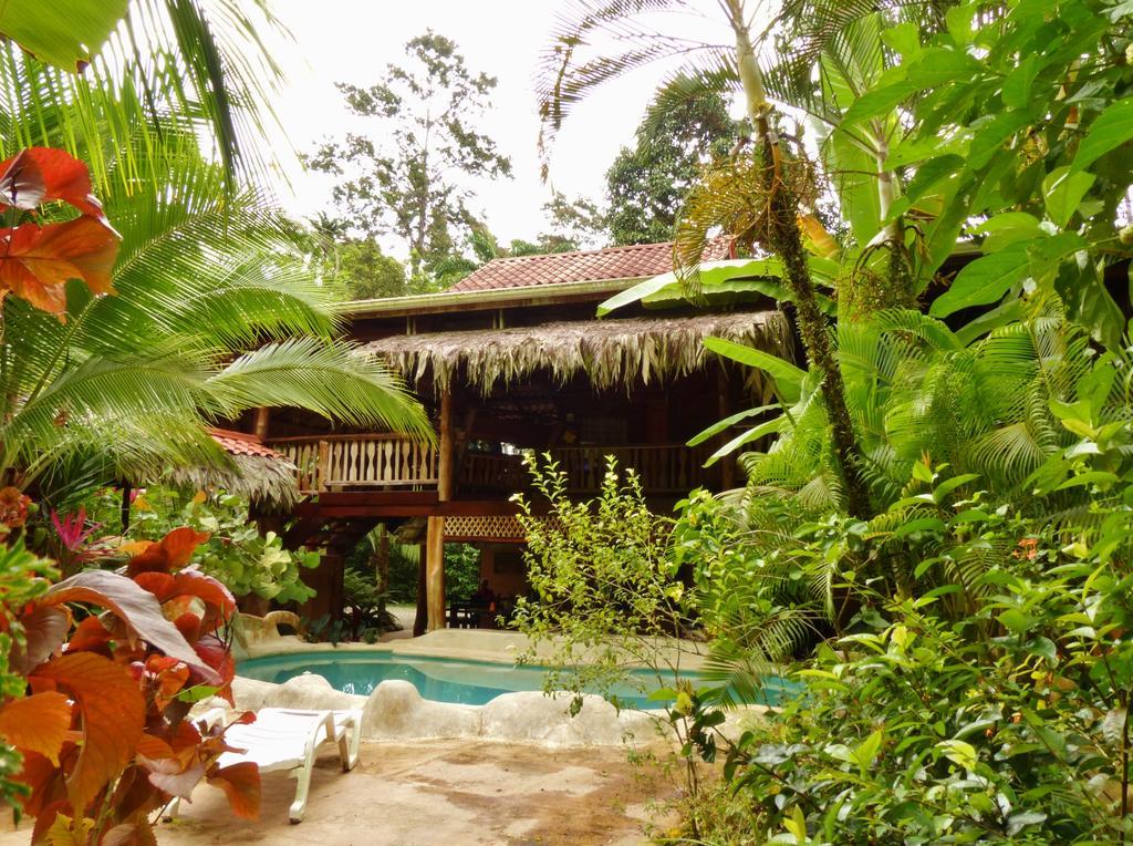 Caribe Town Bungalows Puerto Viejo de Talamanca Esterno foto
