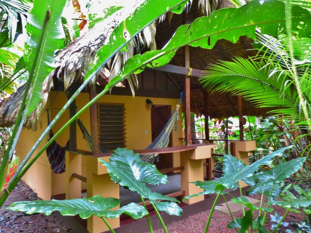 Caribe Town Bungalows Puerto Viejo de Talamanca Camera foto