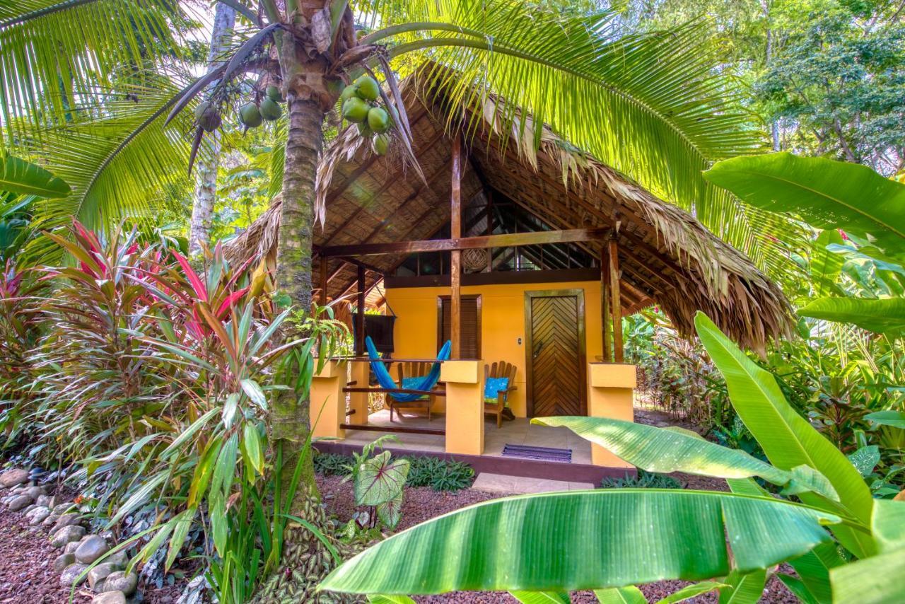 Caribe Town Bungalows Puerto Viejo de Talamanca Esterno foto