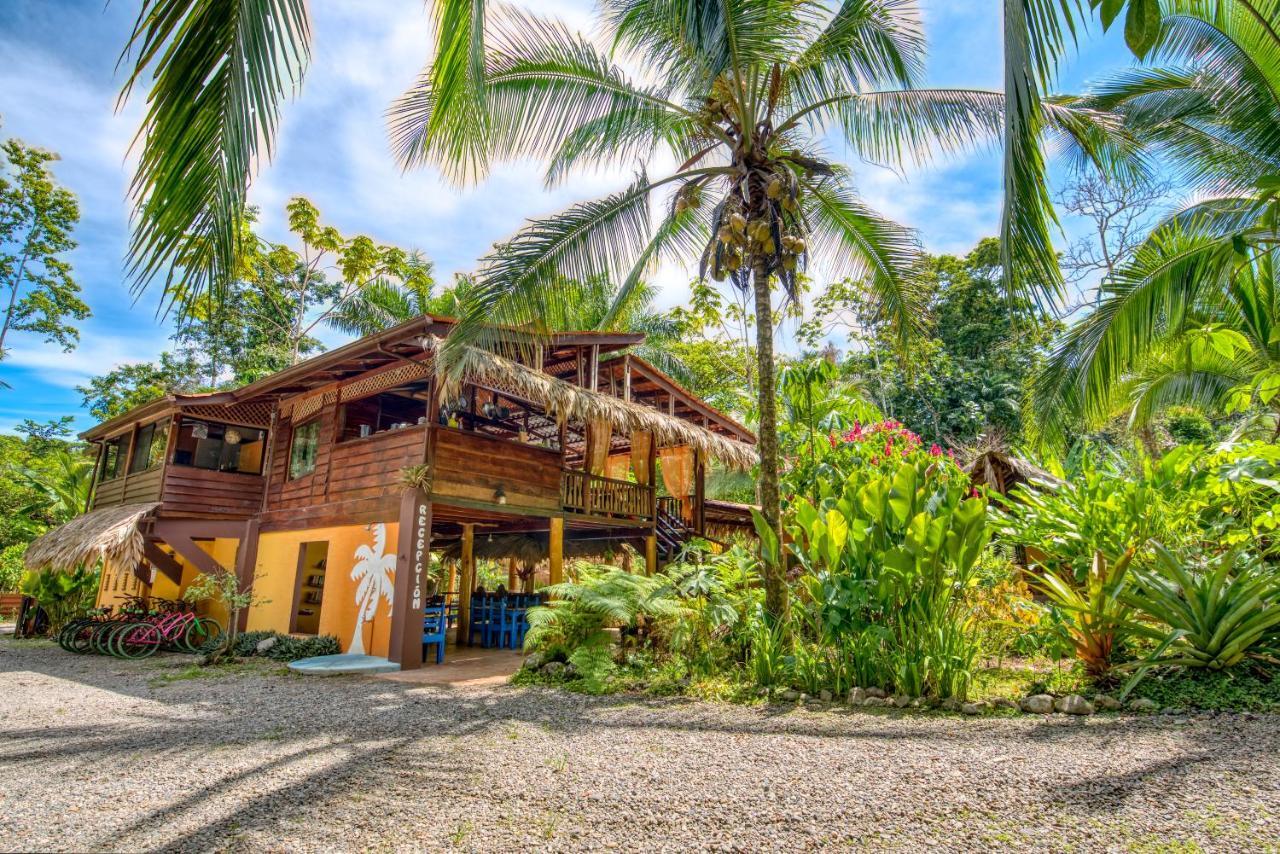 Caribe Town Bungalows Puerto Viejo de Talamanca Esterno foto